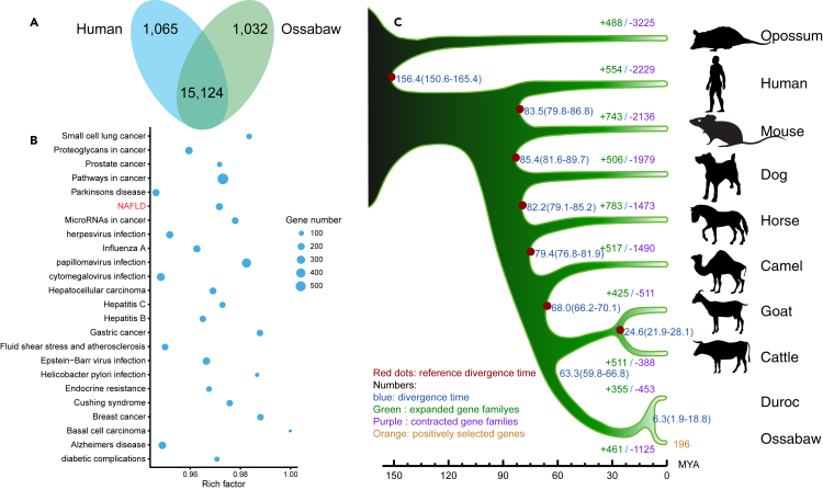 Figure 2