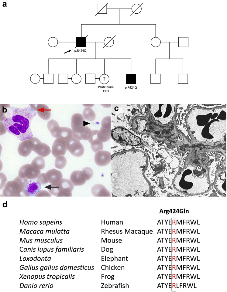 Figure 1