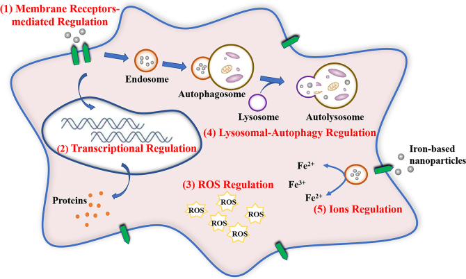 Figure 5: