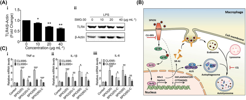 Figure 6: