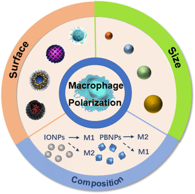 Figure 2: