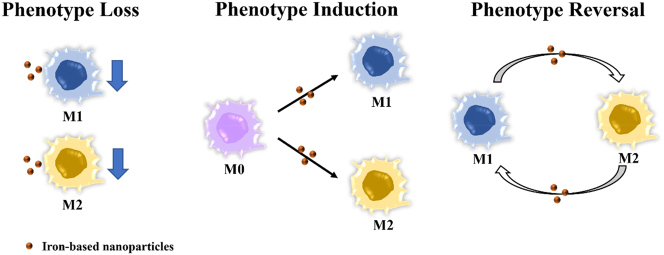 Figure 1: