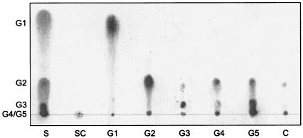 FIG. 4.