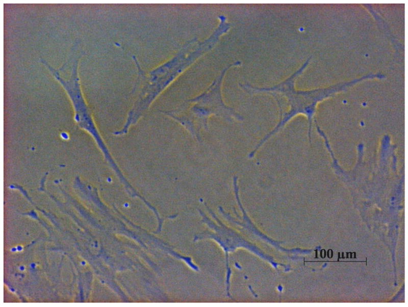 FIG. 1