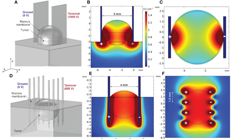 Figure 6