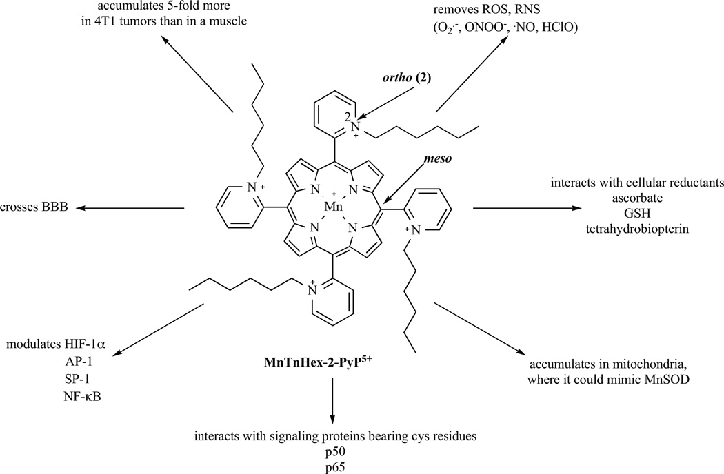 Fig. (1)