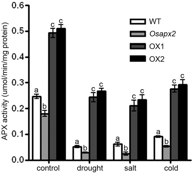 Figure 13