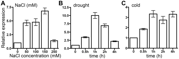 Figure 7