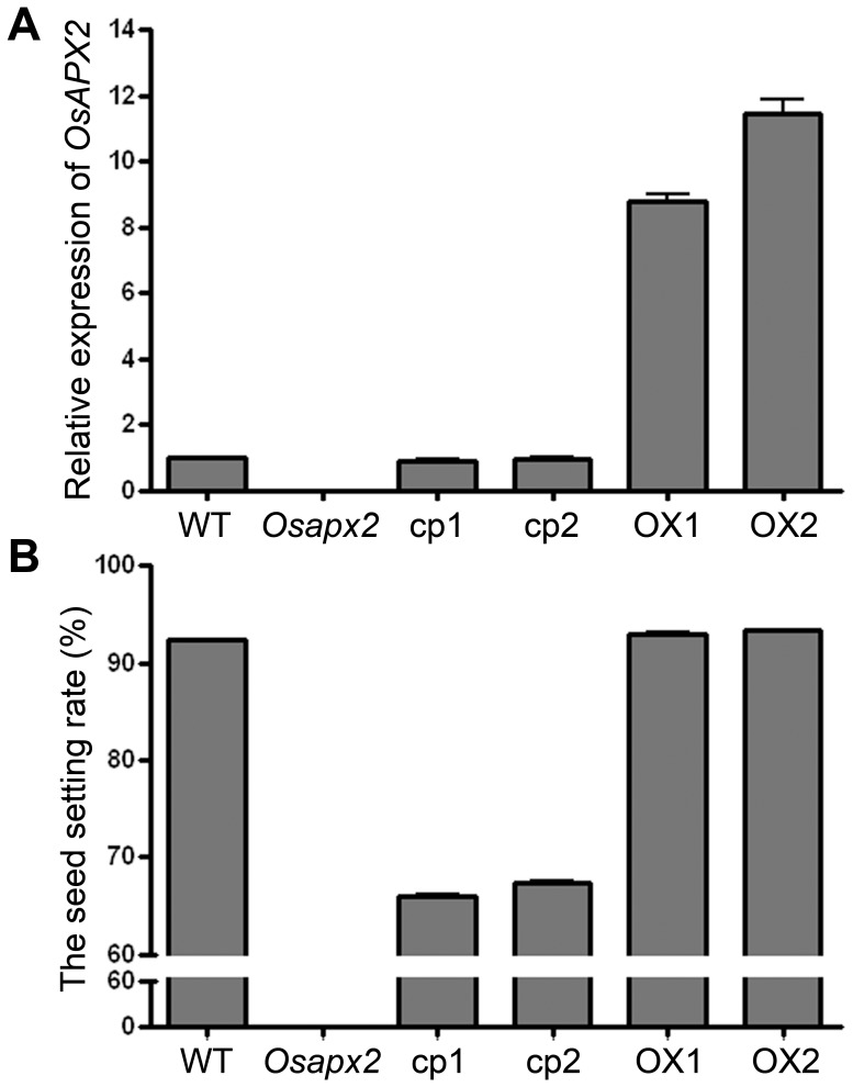 Figure 5