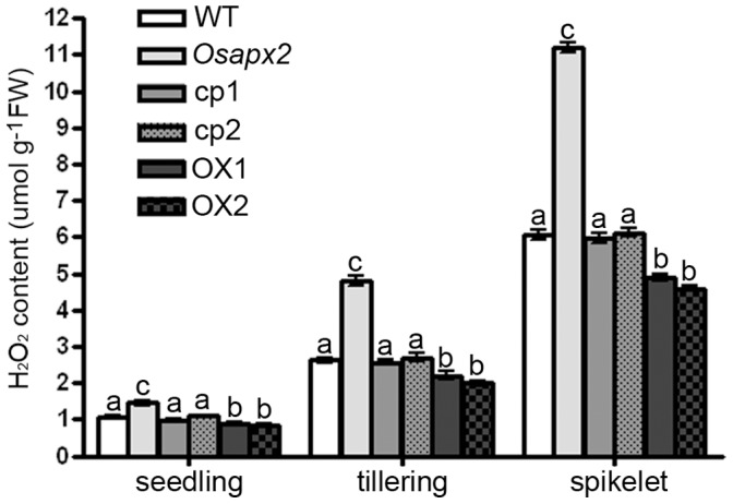 Figure 14