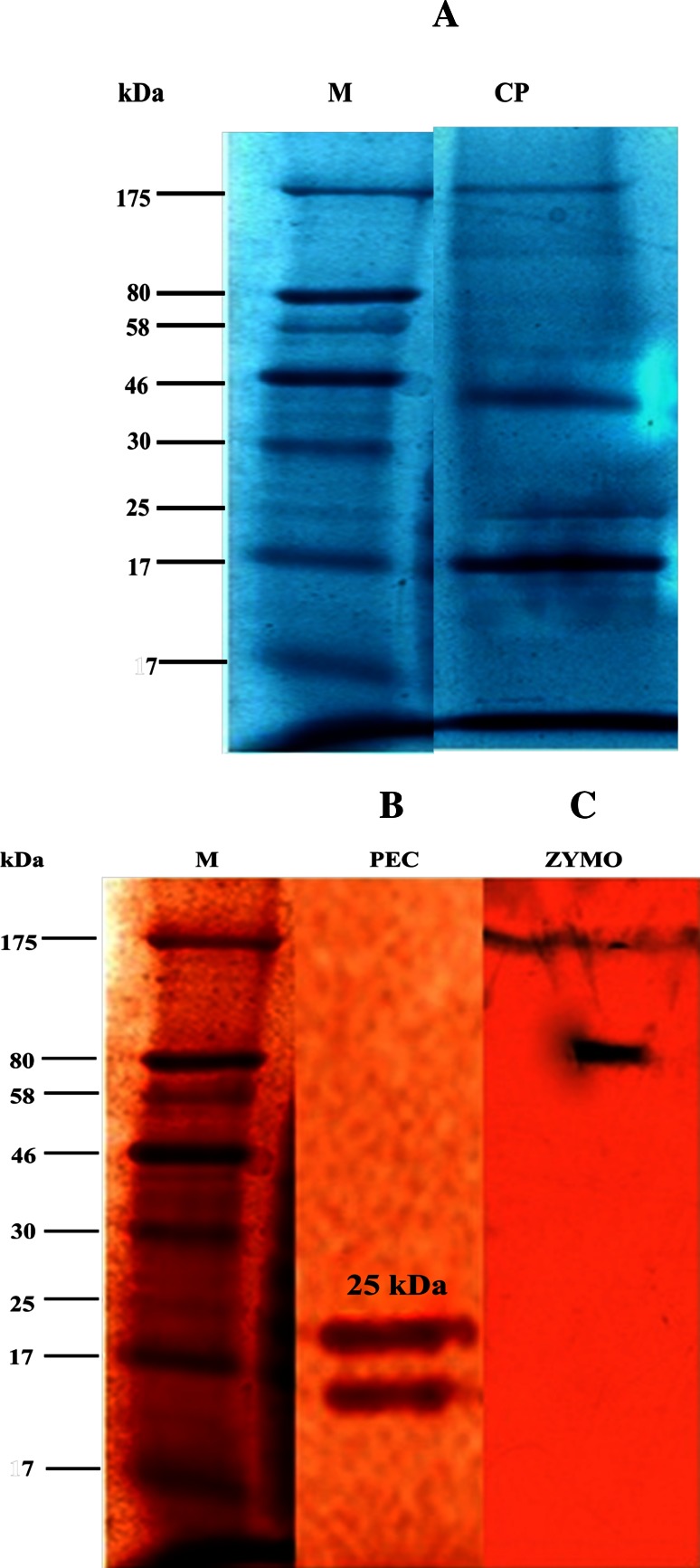 Fig. 4