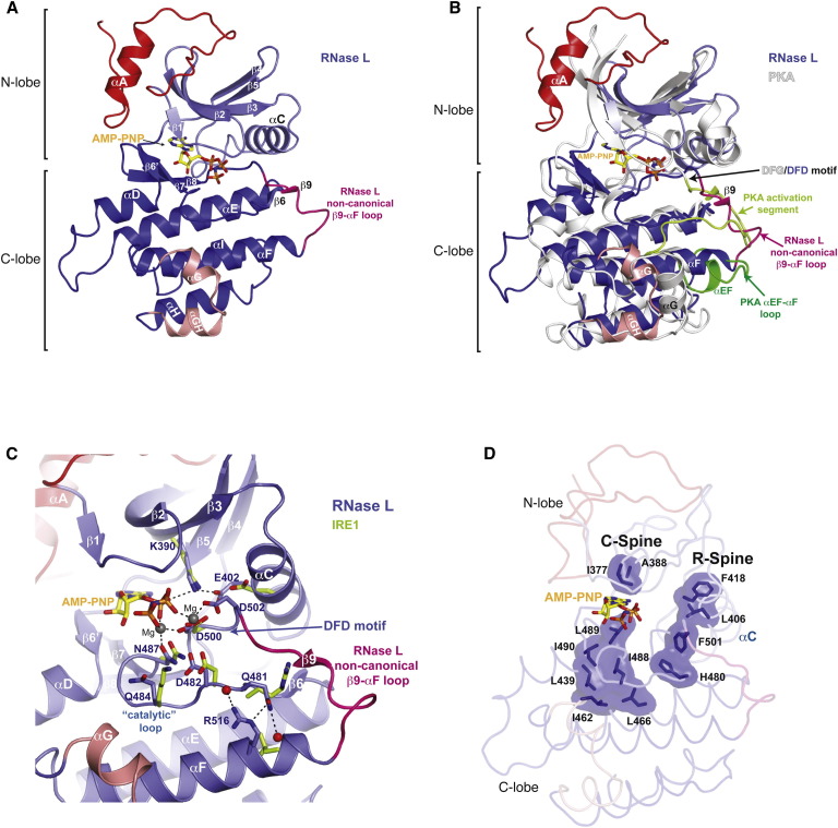 Figure 2