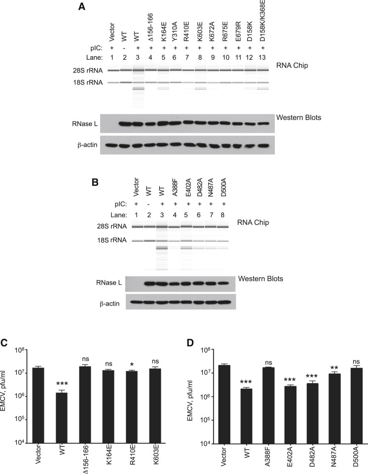 Figure 6