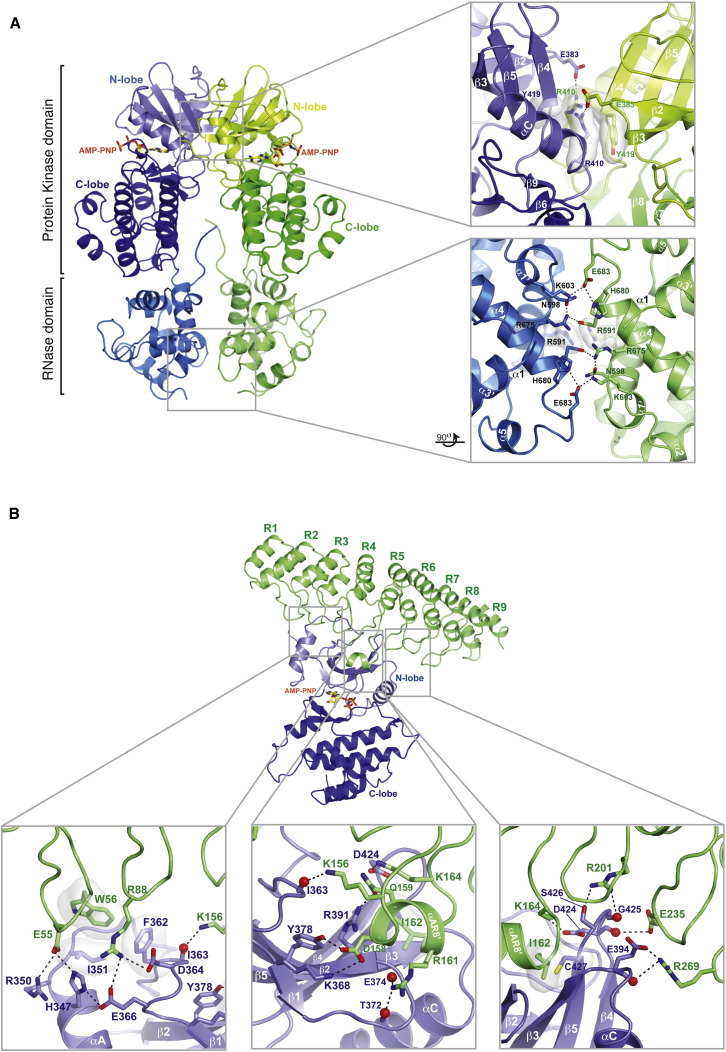 Figure 3