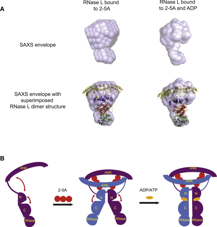 Figure 7