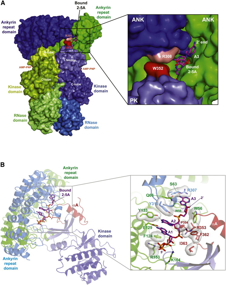 Figure 4