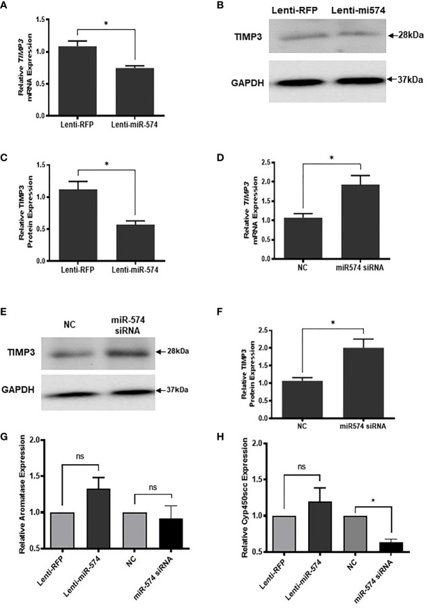 Figure 5