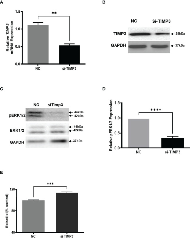 Figure 6