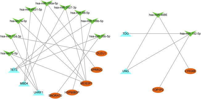 FIGURE 10