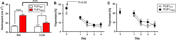 Fig. 6