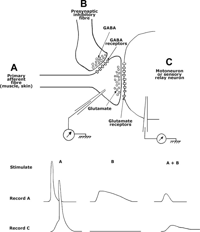 Fig. 2.