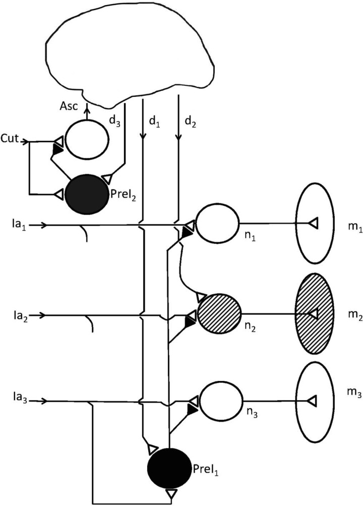 Fig. 7.