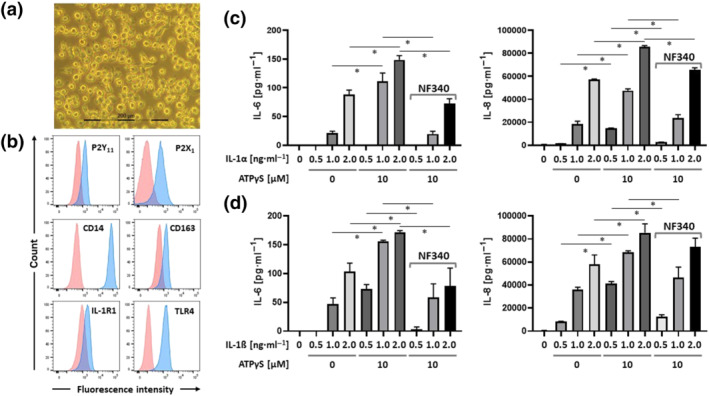 FIGURE 4