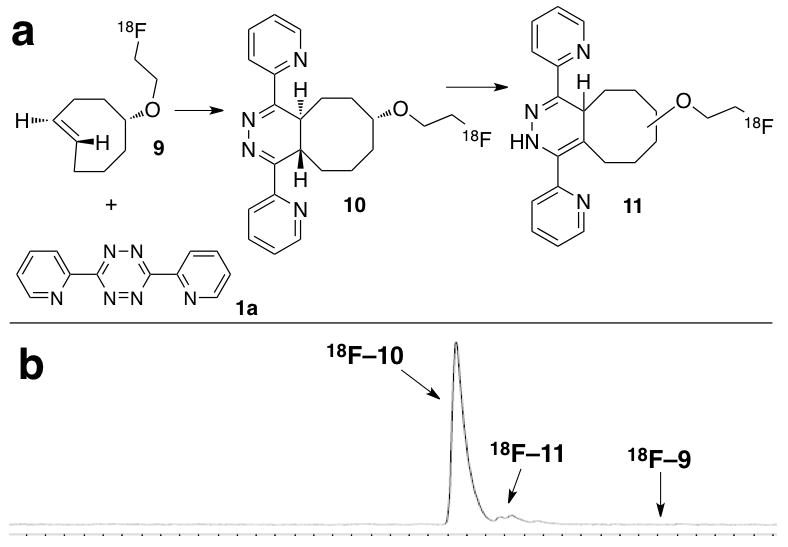 Scheme 3