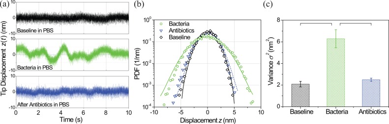 FIG. 2.