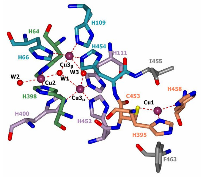 Figure 4