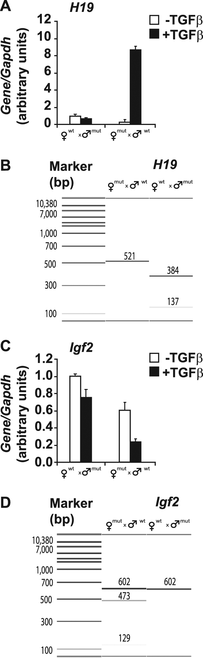 FIGURE 9.