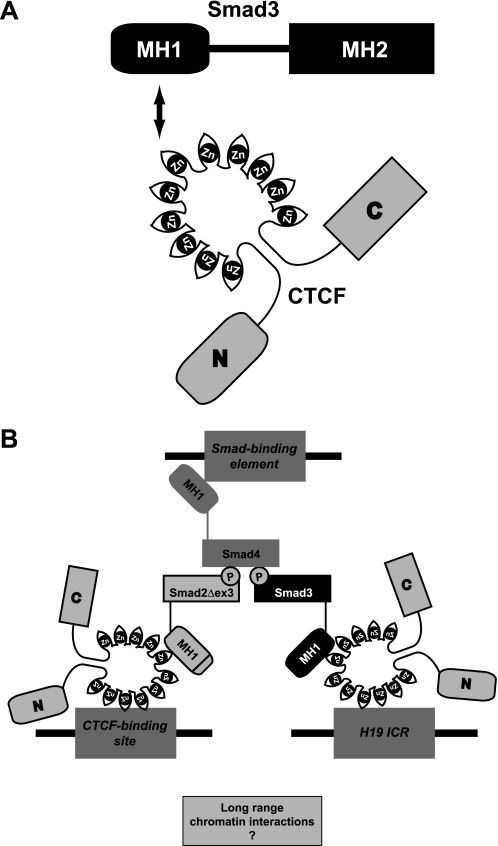 FIGURE 10.