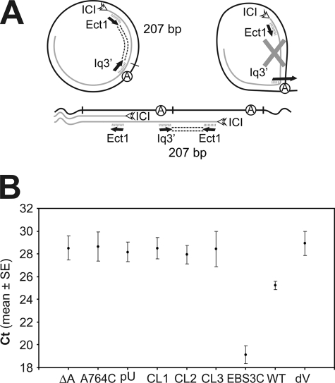 FIGURE 4.