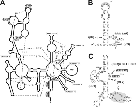 FIGURE 2.