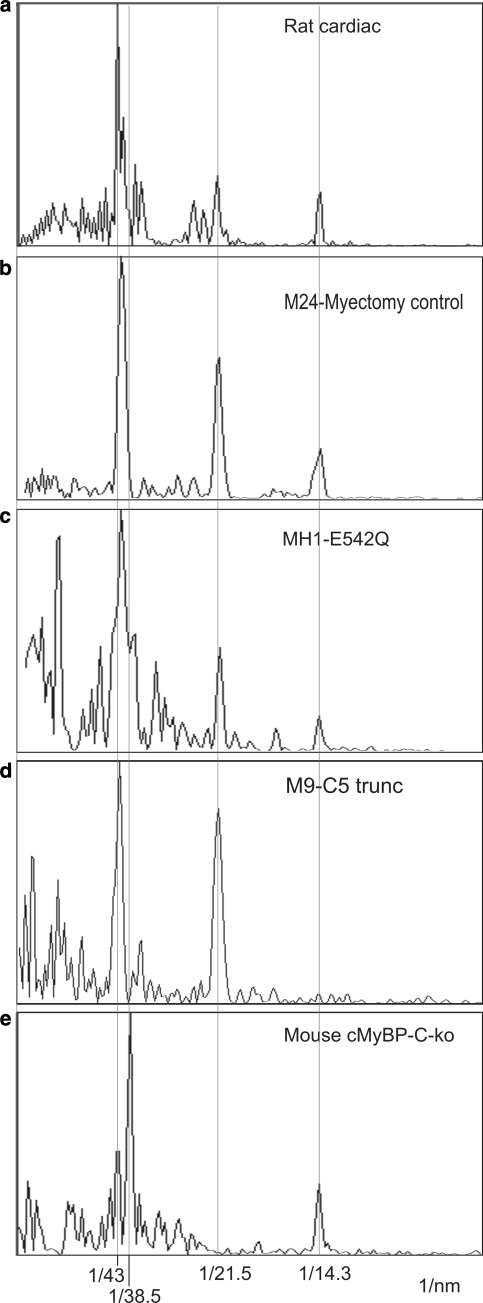 Fig. 7