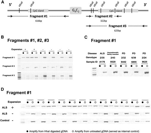 Figure 1