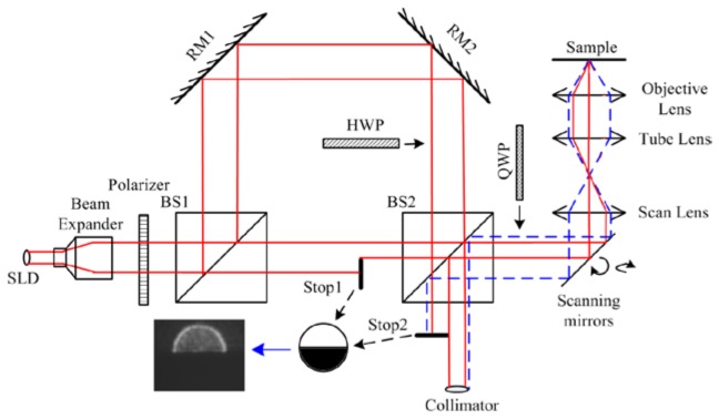 Fig. 1