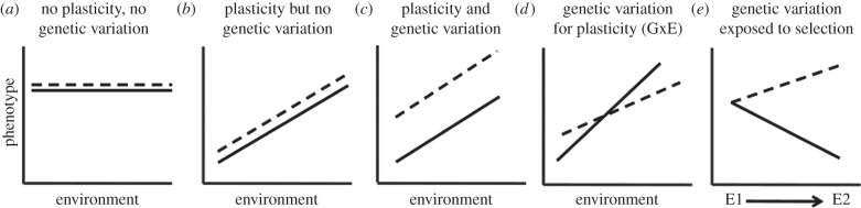 Figure 3.