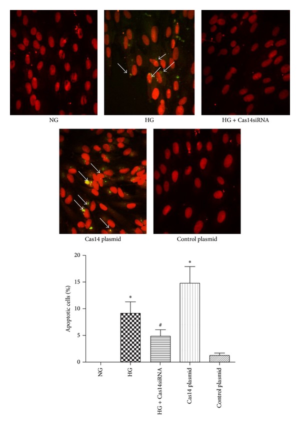 Figure 7