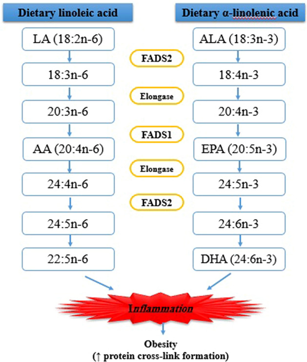 Figure1