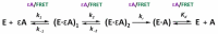 Scheme 3