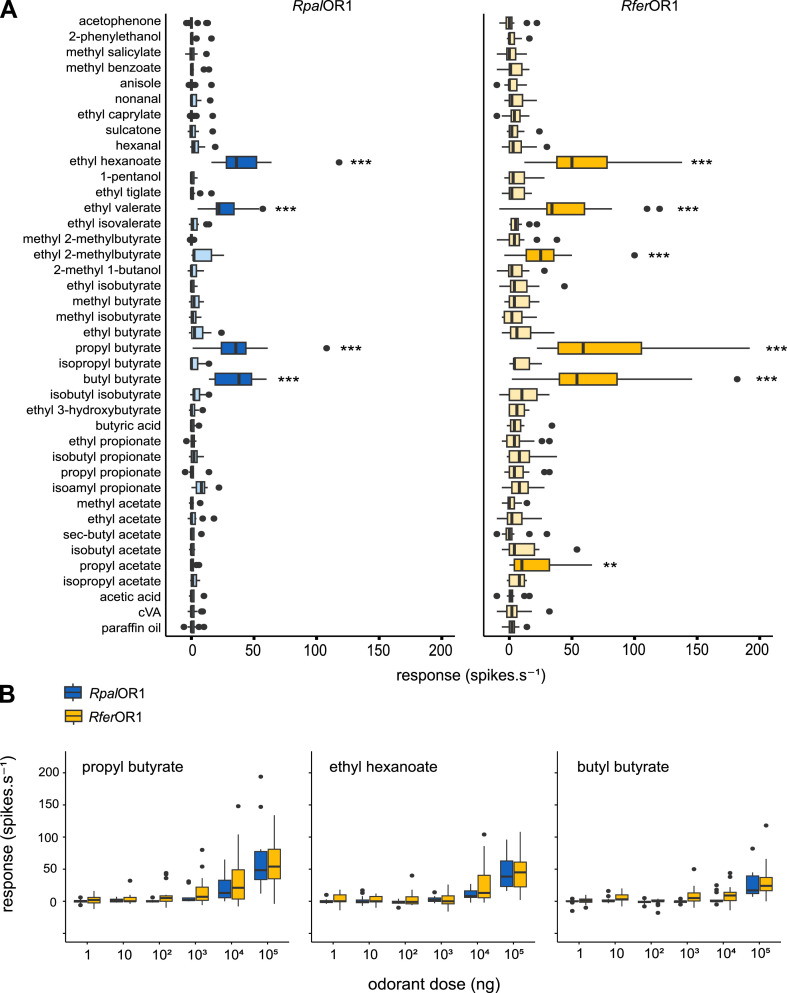 Fig 4: