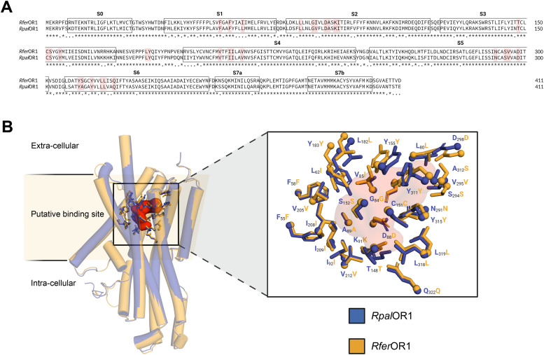 Fig 1: