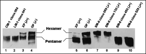 Figure 6