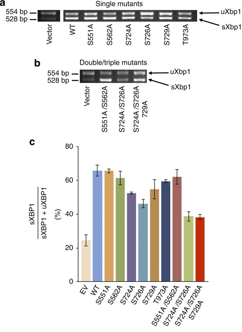 Figure 4