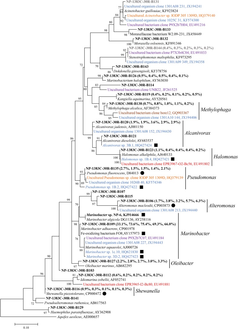 FIGURE 3