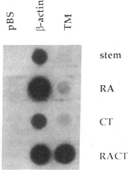 graphic file with name pnas01080-0170-b.jpg