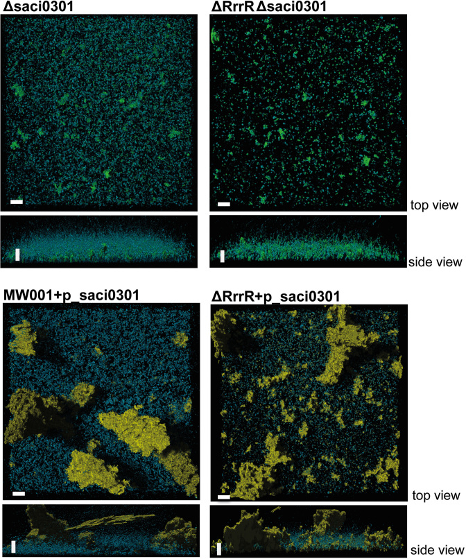 Figure 6.