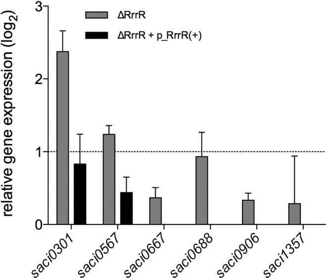 Figure 5.