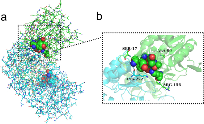 Figure 5